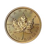 Moneda Bullion Maple Leaf Oro 1/2 oz – 2025